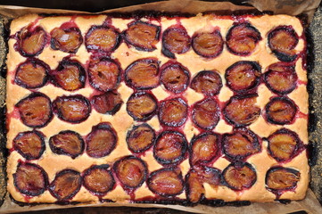 Freshly baked plum cake, top view
