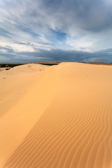 Fototapeta na wymiar Desert with yellow sand