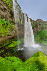 Fototapeta premium Wonderful Seljalandfoss waterfall in Iceland