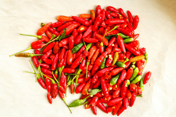 Red chili pepper