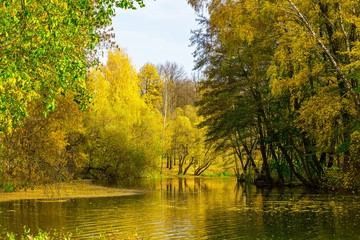 Autumn Landscape in Park with Colourful Trees in Sunlight and River