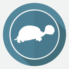 turtle icon