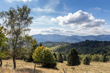 Fototapeta na wymiar paysage d'Alsace