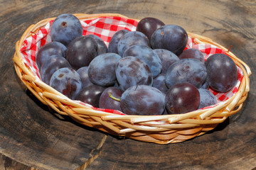 Frisch geerntete Pflaumen