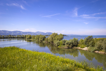 Fototapeta premium Summer Morning at the Lake Bodensee, Austria