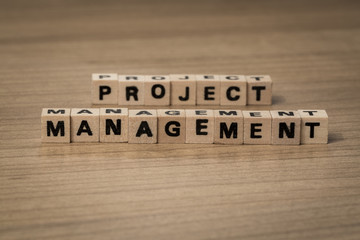 project management in wooden cubes