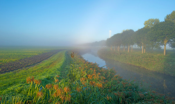 Canal through a sunny hazy landscape in autumn