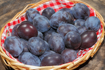 Frisch geerntete Pflaumen