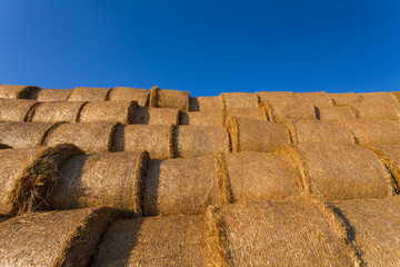 Piled hay bales on a field against blue sky