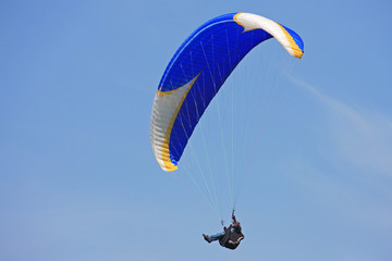 Paraglider
