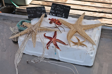 Palavas les flots (Hérault)