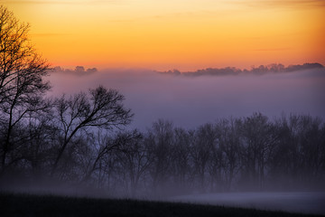 Fototapeta na wymiar Fog at Dawn