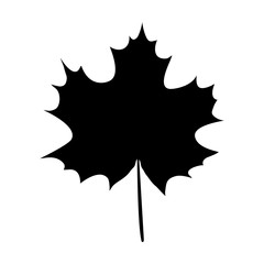 maple leaf silhouette