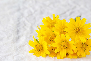 Yellow flowers Place on paper texture coarse white sweet style.