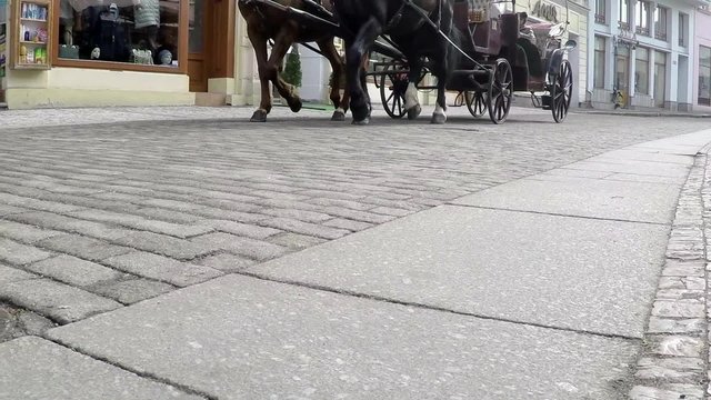 Horse pulling a carriage on pavement of old town, slow motion