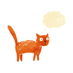 cartoon frightened cat with thought bubble