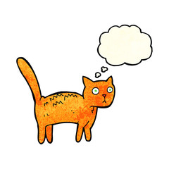 cartoon frightened cat with thought bubble