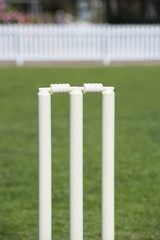 Cricket stumps on field