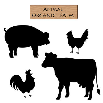 silhouette set farm animal cow pig chicken with parts name meat doodle with detail meat brush font vector illustration