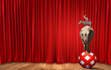 Circus in city