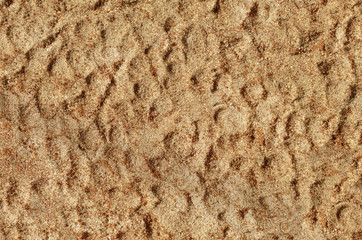 structure sand background homogeneous