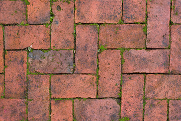 Red brick wall or old dark brown