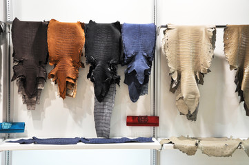 Raw crocodile leather