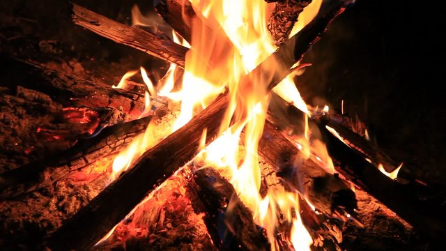 beautiful fire burning in the darkness of the night.  Altai