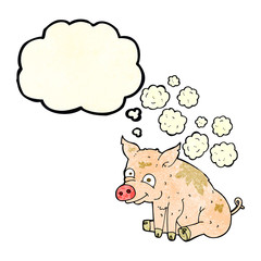cartoon smelly pig with thought bubble