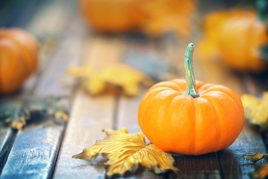 Autumn Pumpkin Background Images – Browse 902,441 Stock Photos, Vectors, and Video | Adobe Stock
