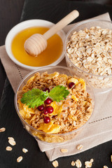 cereal flakes with fresh berries in a bowl and honey