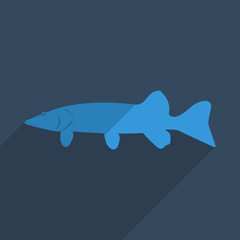 Flat icons modern design with shadow of pike