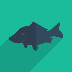 Flat icons modern design with shadow of carp