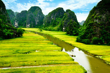 Rice field and river, NinhBinh, vietnam landscapes.
