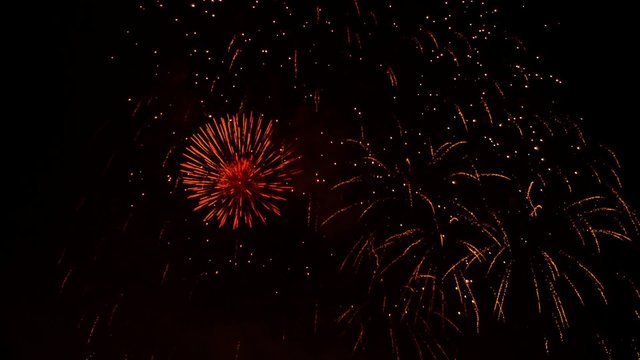 Night Golden Rain Pyrotechnic Fireworks On Black Background