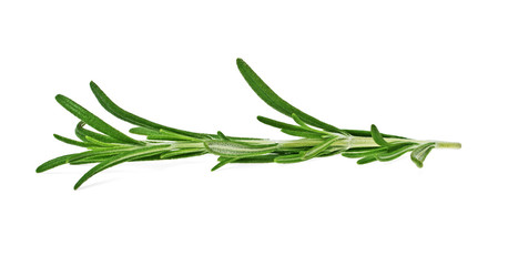 Fototapeta premium Rosemary isolated on white background