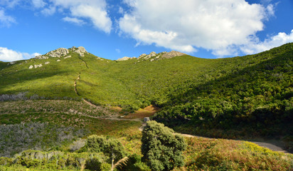 Cap Corse
