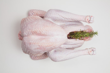 Truthhahn, roh, Thanksgiving, Weihnachtsbraten, Weihnachtsessen,