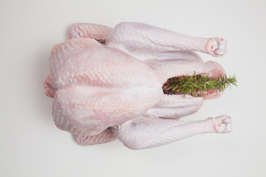 Truthhahn, roh, Thanksgiving, Weihnachtsbraten, Weihnachtsessen,