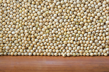 Soybean background