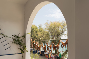 Traditional Greek food octopus hanging outside a Greek tavern at Paros island in Greece.