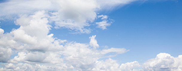 Wolkenhimmel, fliegende Möwen, Panorama