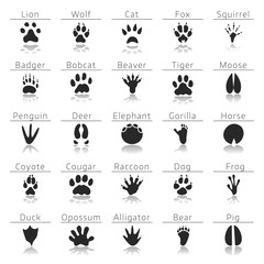 Animal track prints set © juliars