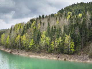 View of beautiful colorful forest of Tara mountain and Zaovine lake