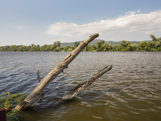 Two wooden logs sticking out of water close to shore at Silver Lake