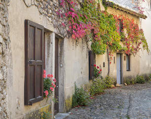 Beautiful houses in the narrow street passage at medieval village Perouges in France