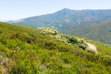 Fototapeta premium Mountains landscape