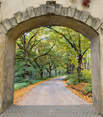Counryside road in autumn, Europe
