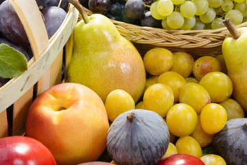 different seasonal fruits, plums, pears, grapes