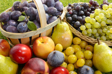 different seasonal fruits, plums, pears, grapes